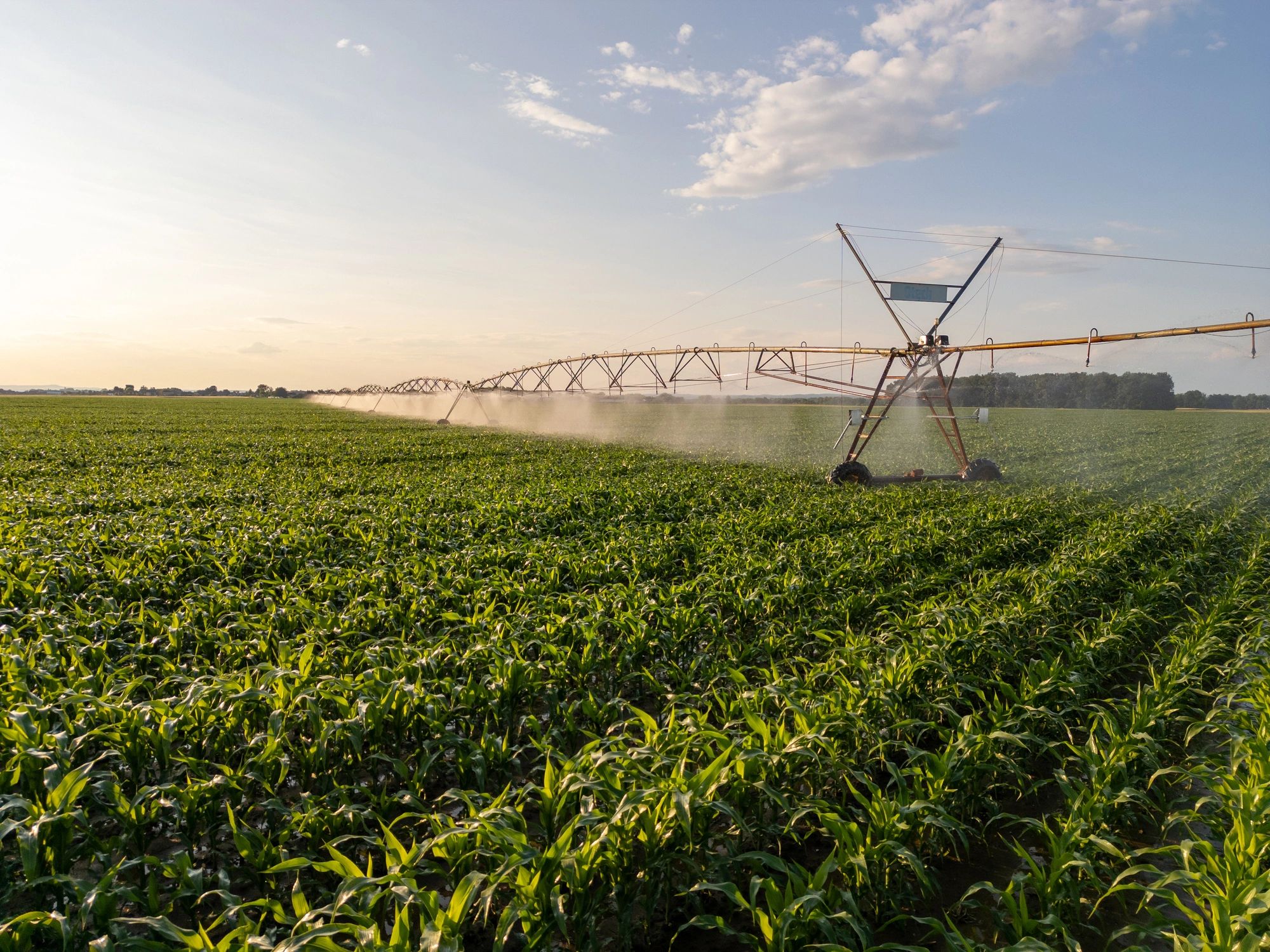 Agricultural field supported by sustainable inputs