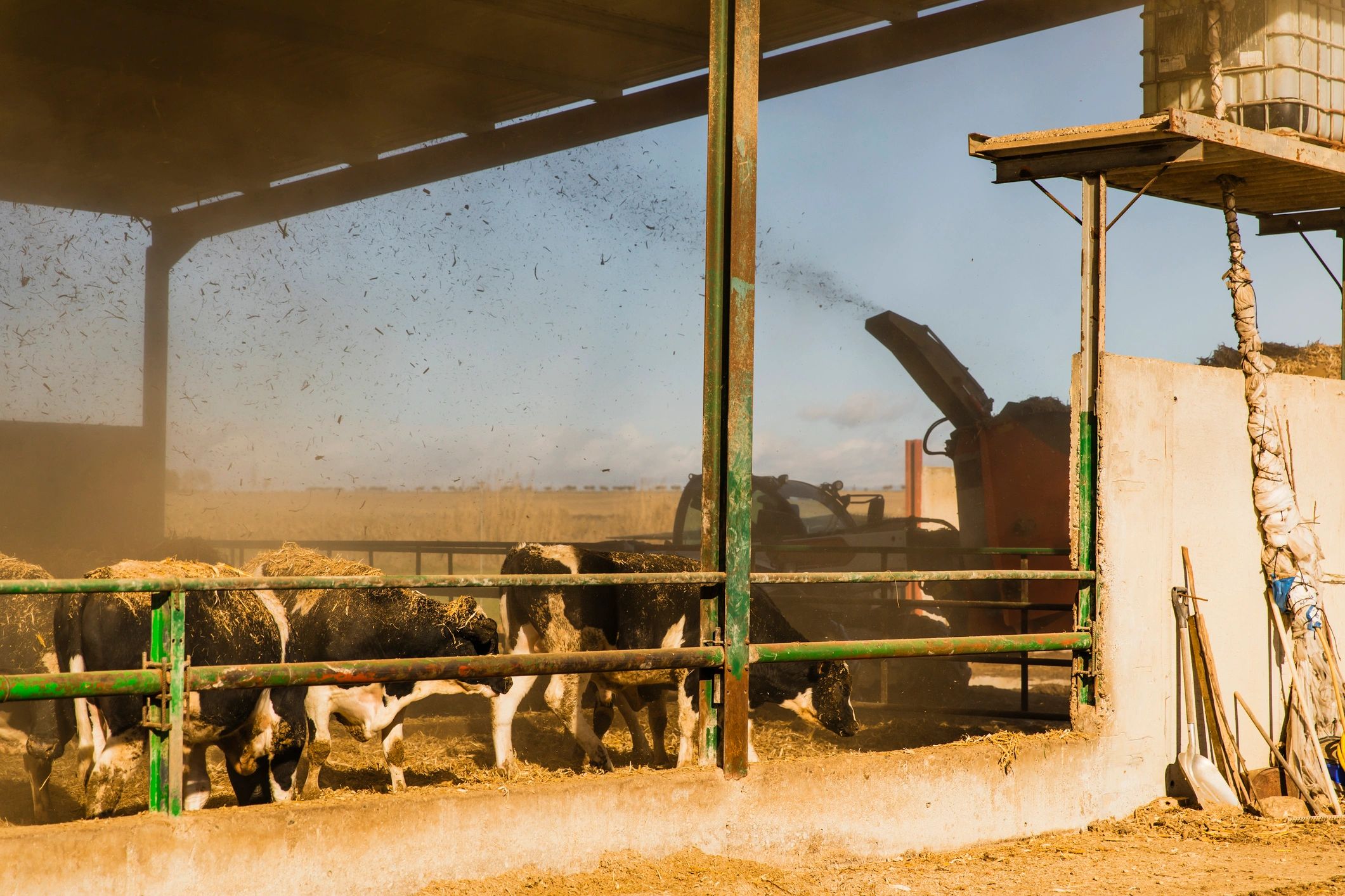 Agricultural biomass handling and feedstock operations