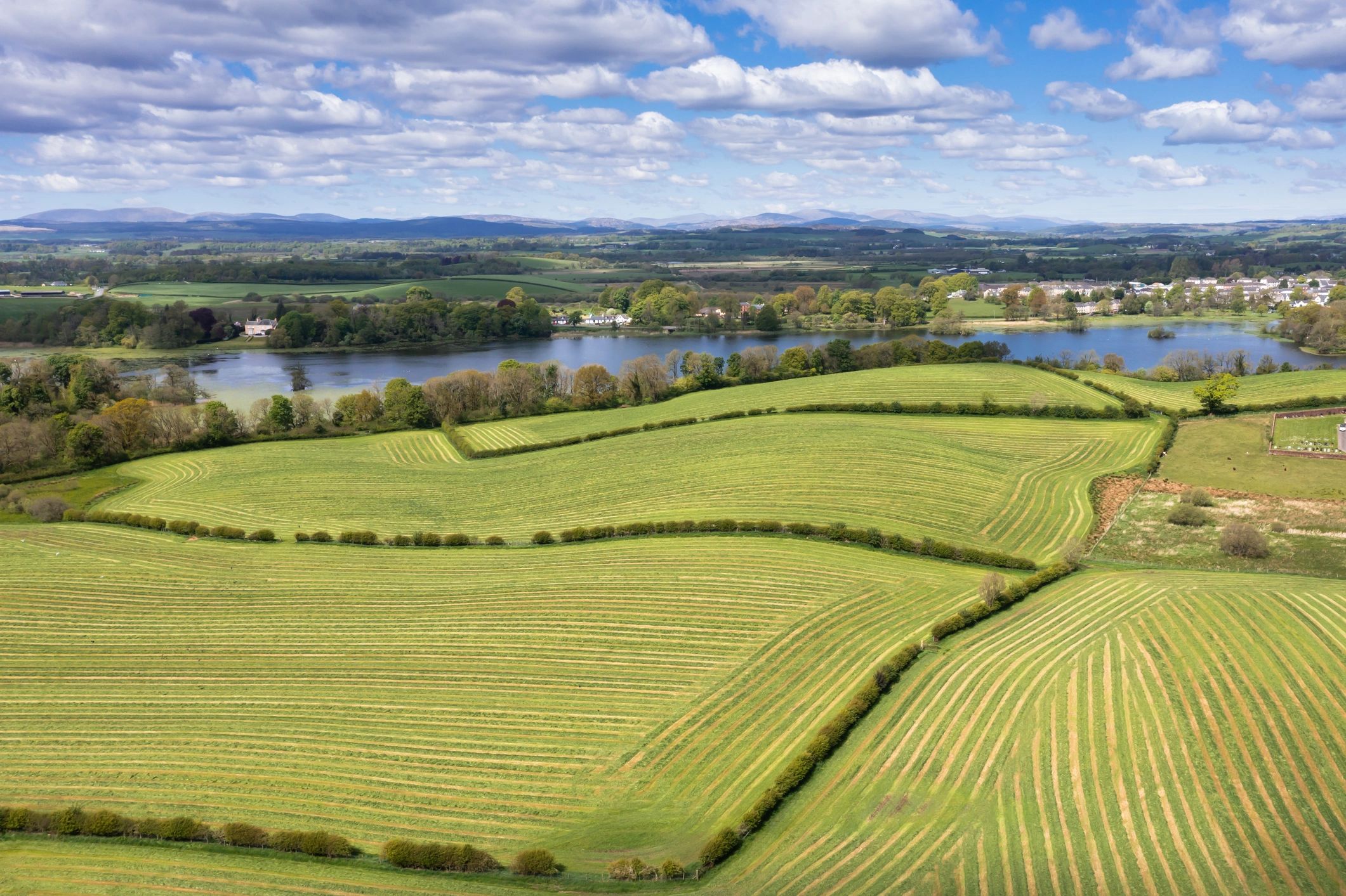 Harvested crop field showing agricultural residue collection potential