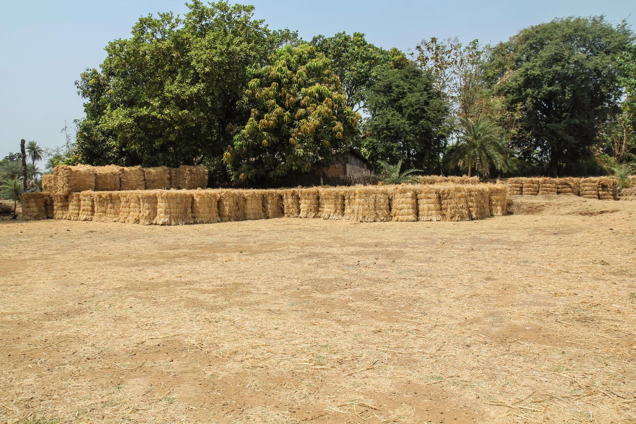 Agricultural biomass feedstock bales
